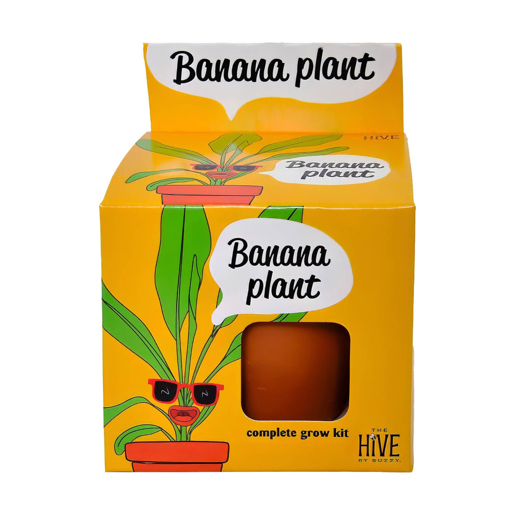 Exotic Banana Plant Grow Kit