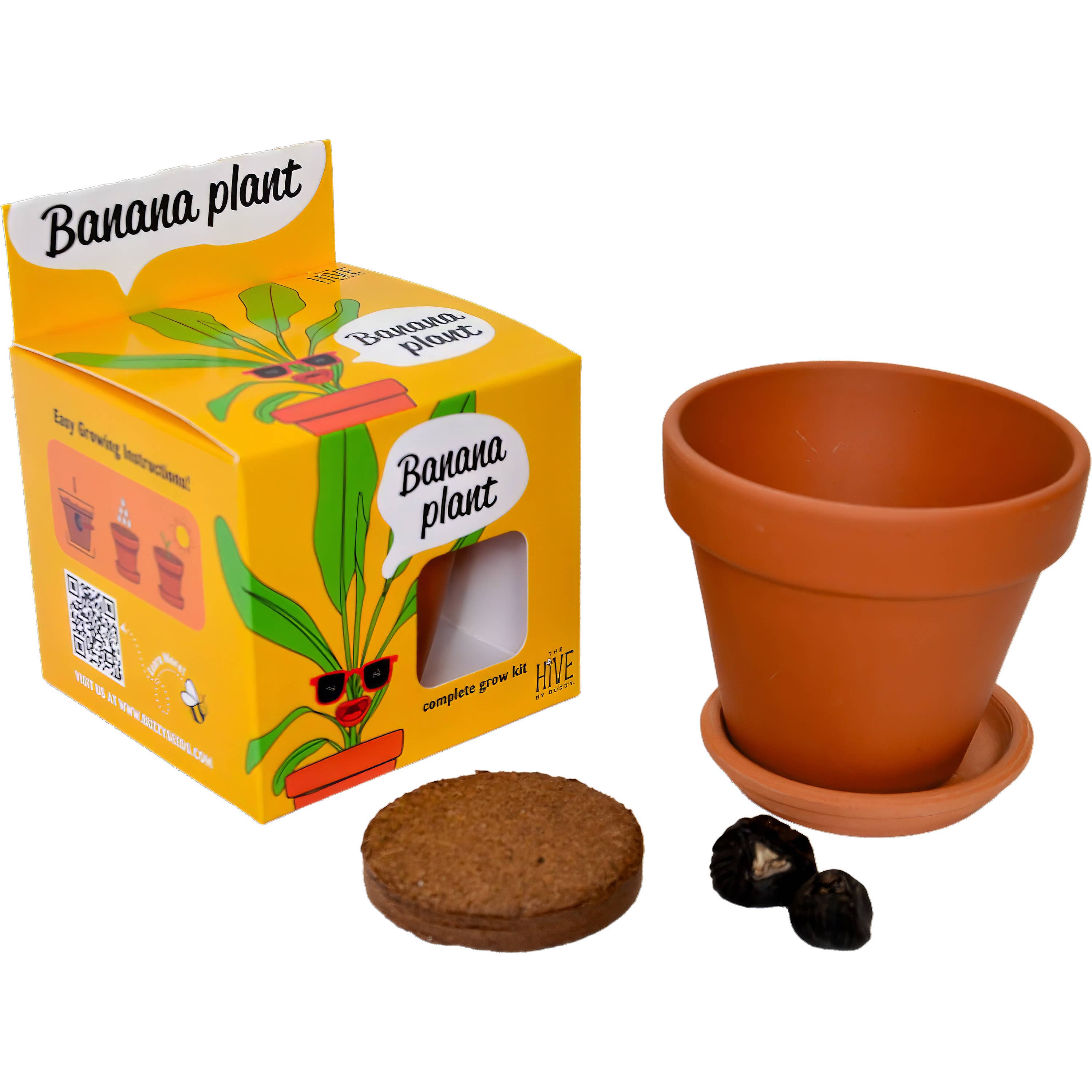 Exotic Banana Plant Grow Kit