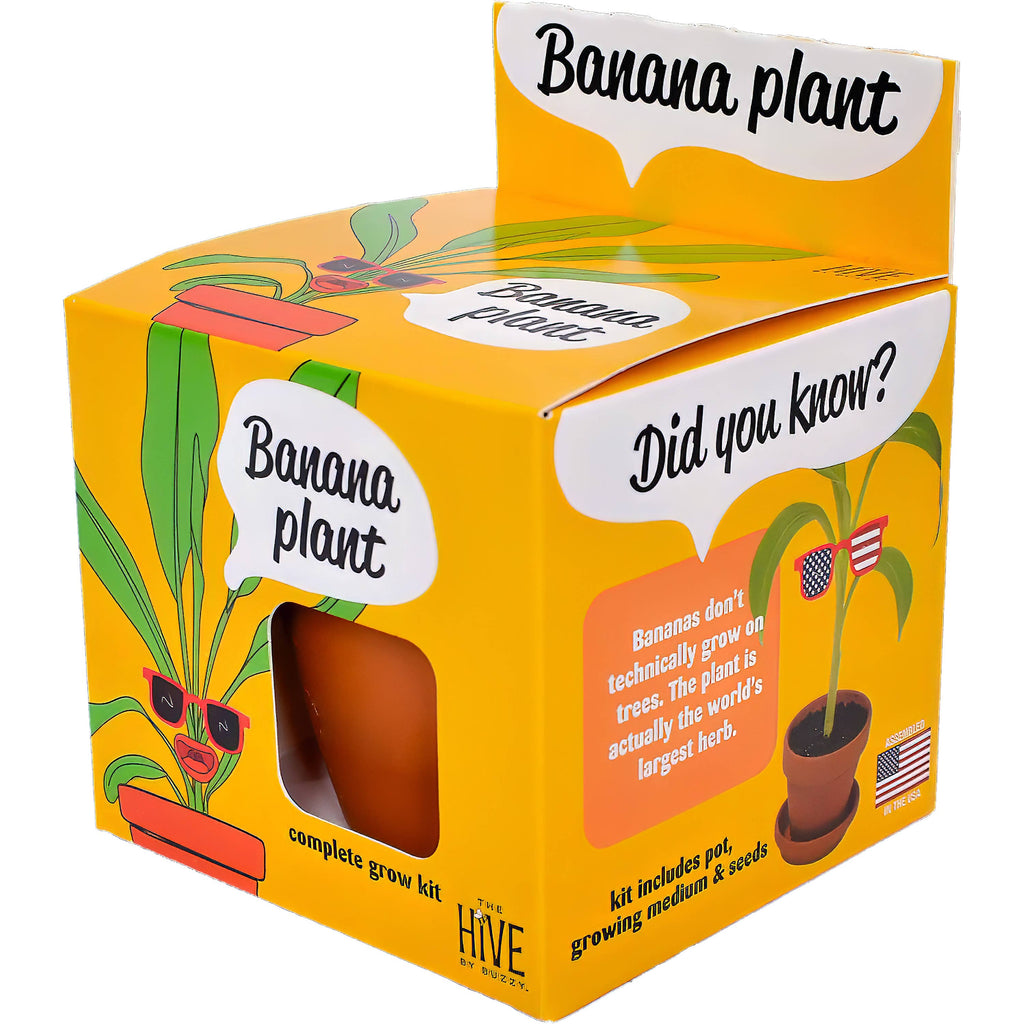 Exotic Banana Plant Grow Kit