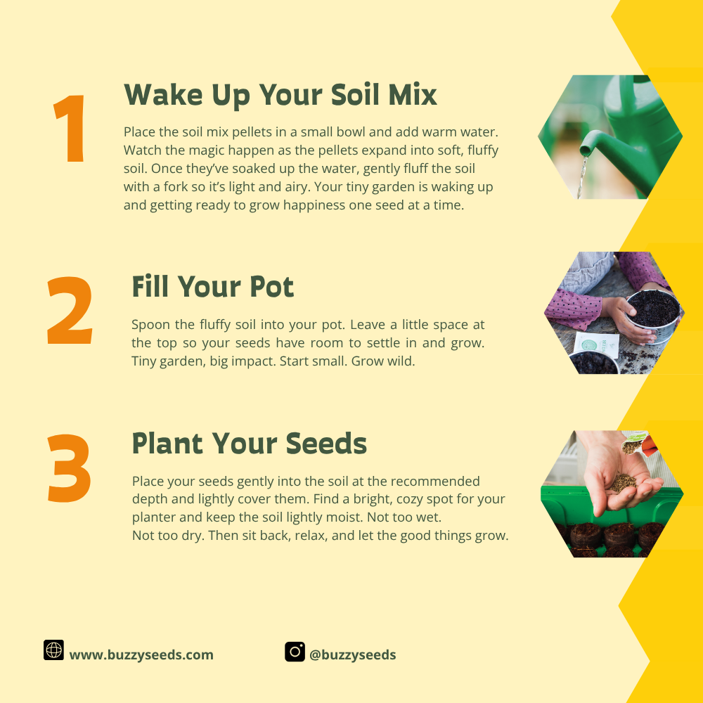 Exotic Banana Plant Grow Kit