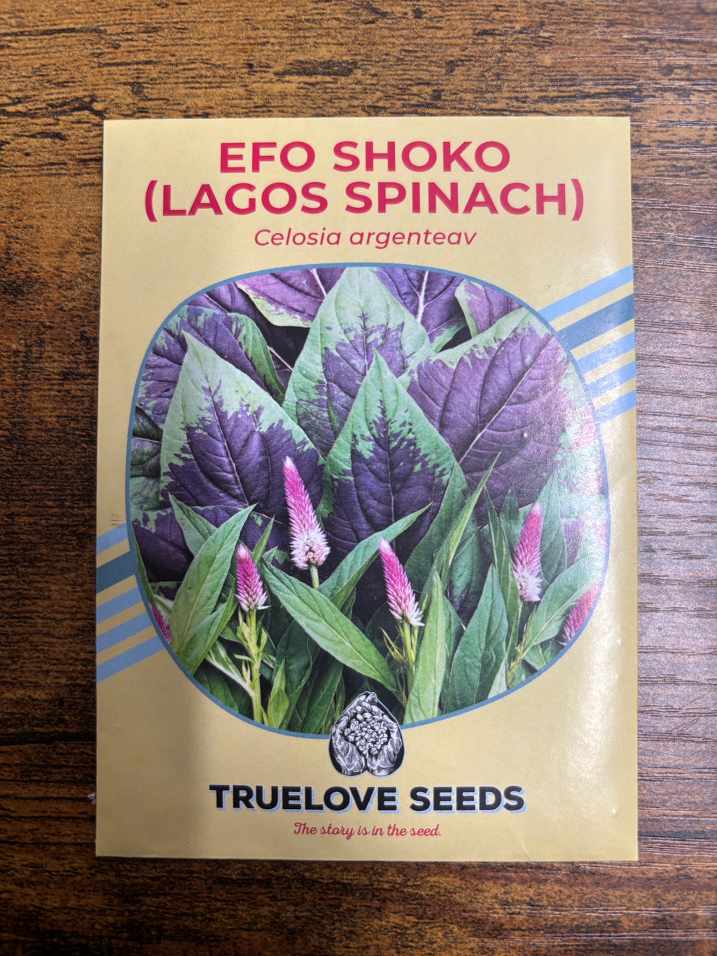 Efo Shoko (Lagos Spinach) Seeds