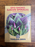 Efo Shoko (Lagos Spinach) Seeds
