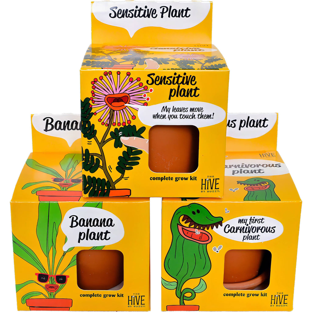 Exotic Banana Plant Grow Kit